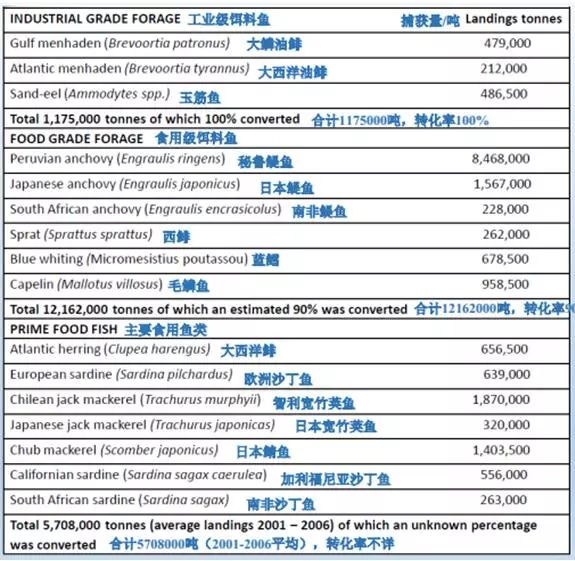 新澳天天免费资料单双,实地设计评估数据_SHD72.12