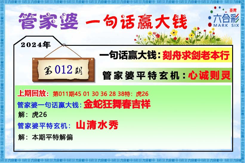 202管家婆一肖一码,综合解答解释定义_微型版13.42