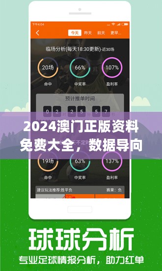 2024年澳门王中王,正确解答落实_bundle97.951