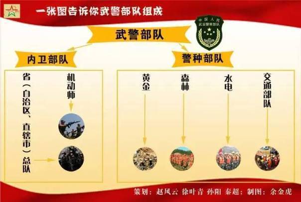 武警部队改革最新方案，塑造现代化军事力量的崭新面貌