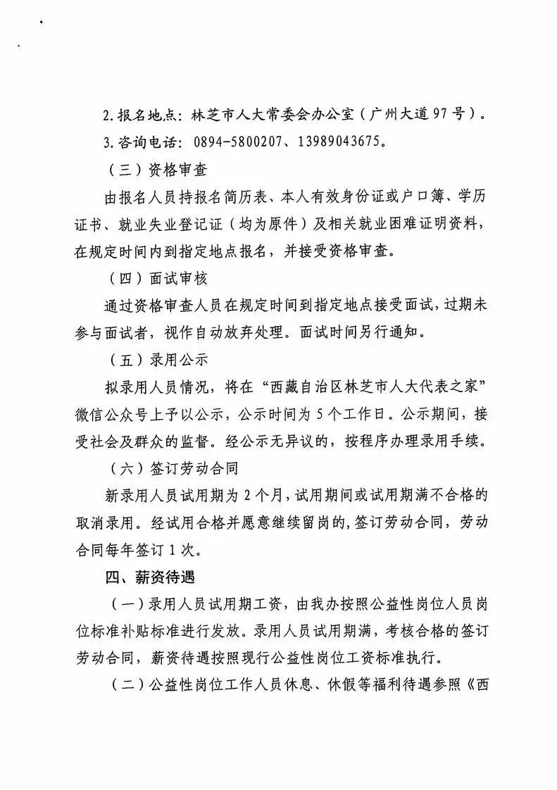 雄县统计局最新招聘启事概览